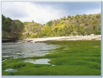 Harga tiket masuk Pantai Batu Bengkung Malang