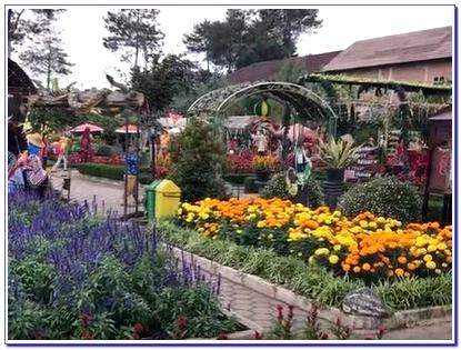Lokasi Taman Bunga Begonia